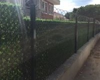 18557472_1567824526562343_7816495110587026783_n